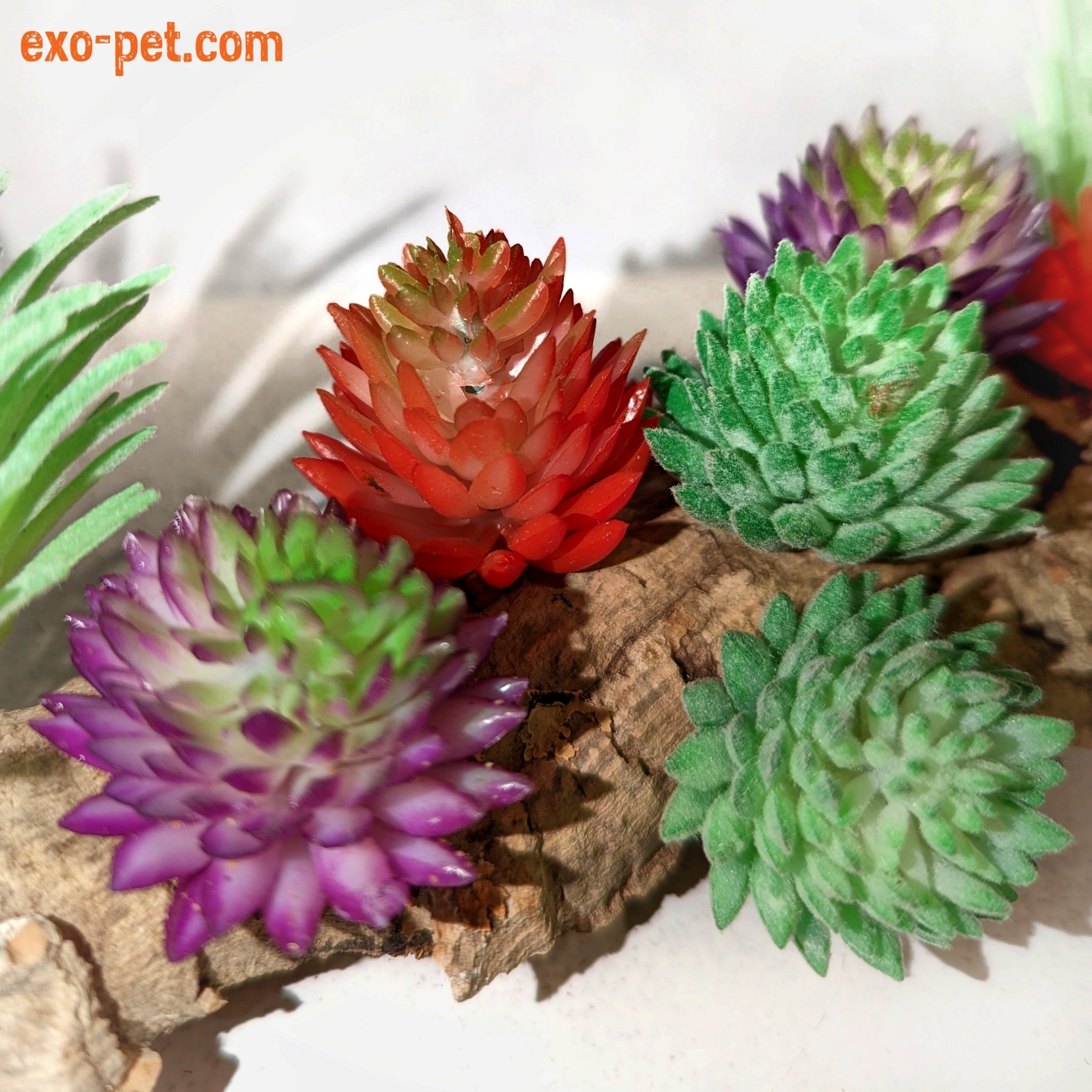 Kunstpflanze Typ Sukkulente XS, versch. Farben | exo-pet