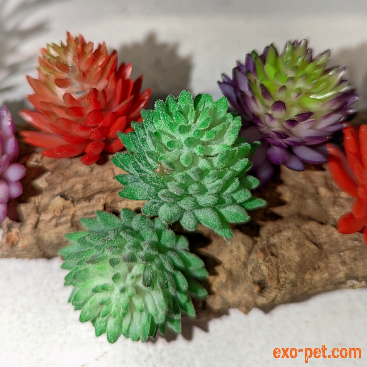 Kunstpflanze Typ Sukkulente XS, versch. exo-pet | Farben